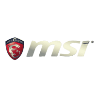 MSI